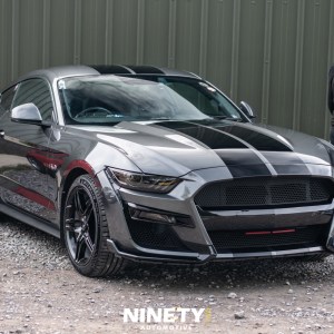 Digital Download - Dizzy Cap Social 2023_054