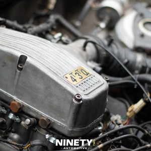 Digital Download - Dizzy Cap Social 2023_235